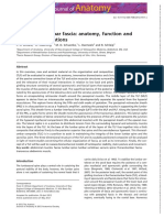 Journal of Anatomy - 2012 - Willard - The Thoracolumbar Fascia Anatomy Function and Clinical Considerations