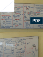 Curso Biologia - Sistema Nervioso