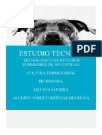 Estudio Tecnico