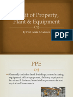Audit Application - Lec. 8 PPE (1)