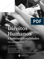 Direitos Humanos e Interseccionalidades CRDH