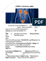 ระบบขบถ่ายปัสสาวะ (Urinary system)