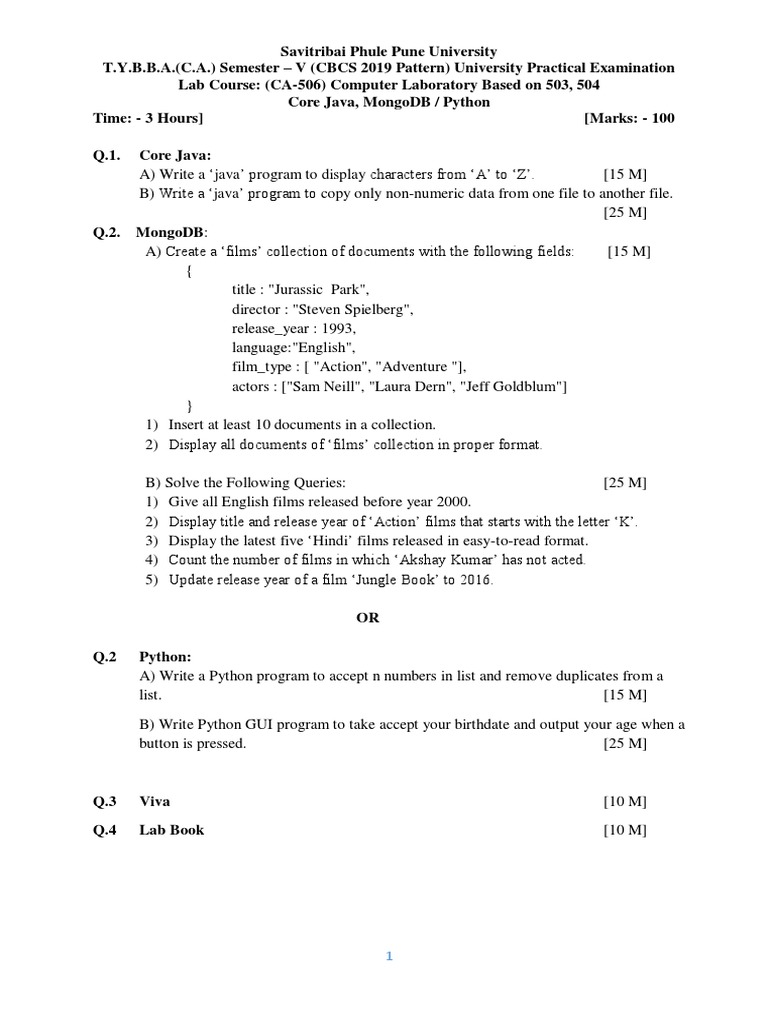 TYBBA (CA) Sem V Practical Slips | PDF