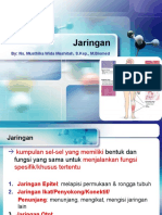 Jaringan