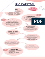 Infografia Del Lobulo Parietal GRUPO 2