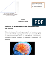 Corrientes en Pensamientos Durante El Desarrollar en Las Vidas Humano