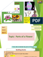 20221011-ABDUL-sci-Parts of a flower