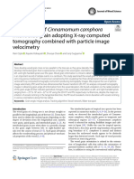 Examination of Cinnamomum Camphora Interlocked Grain Adopting X-Ray Computed Tomography Combined With Particle Image Velocimetry