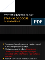 1 - Systemic Bacteriology