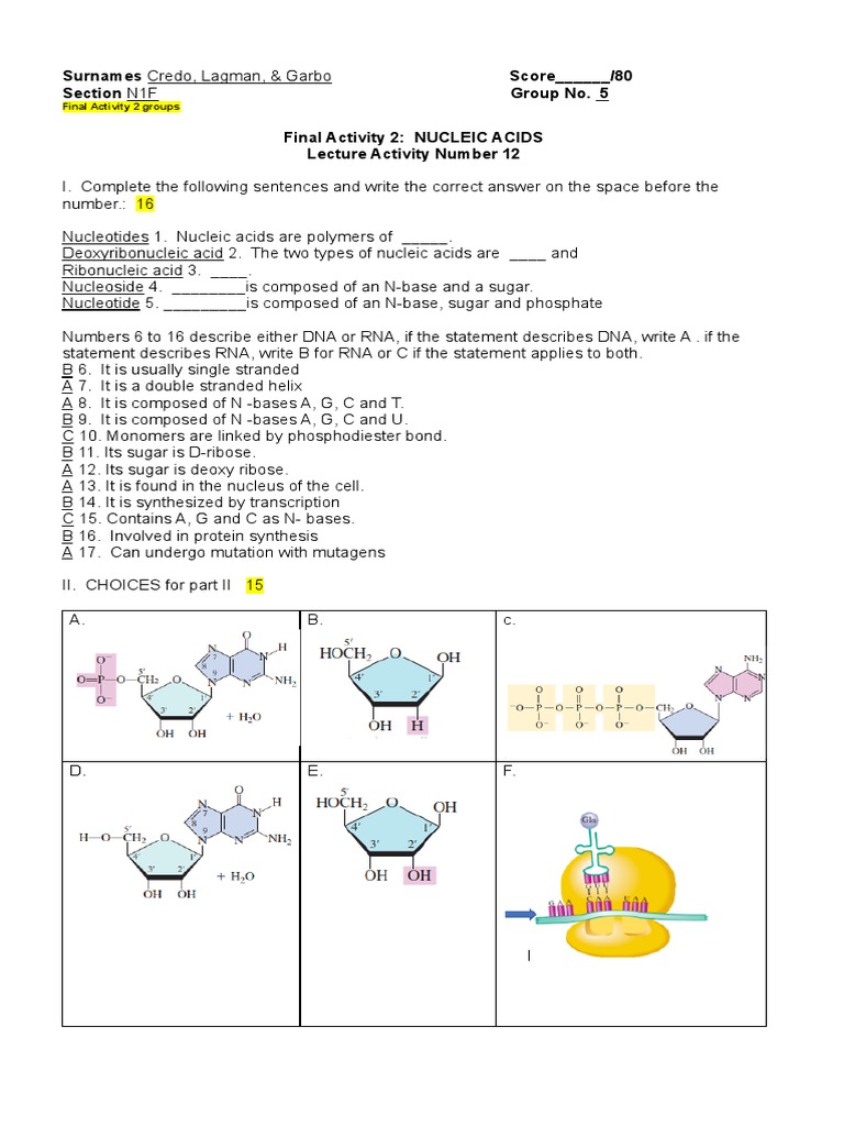 Lecture Activity No. 12 Nucleic Acids PDF