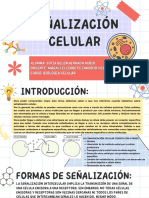 Semana 11 - Biología Celular - Señalización Celular