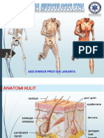 Trauma Musculoscletal 1