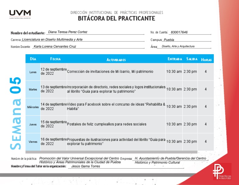 Bitacora S05 DTPC | PDF | Arte