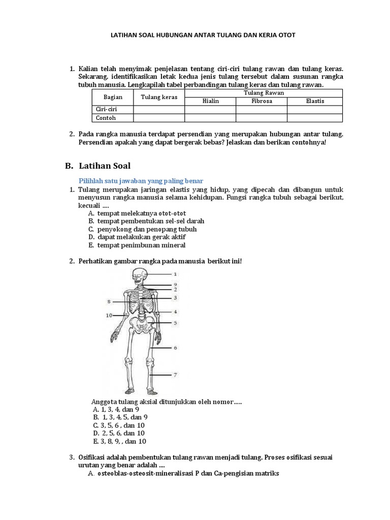 Membangun Kekaisaran Online: Panduan Lengkap Memonetisasi Blog Anda dengan Adsense
