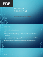 Diseases of Sugarcane: Presented by Gadade Yash Maruti