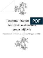 Toamnă Matematică Mijlocie