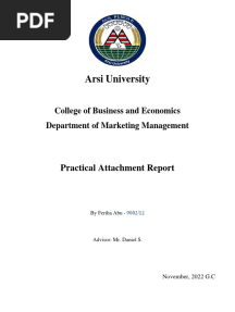 Fer Attachment Report