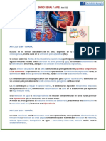 AINES y Renal E