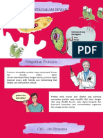 Protozoa (Tugas Saya Kel 2 Bio PT2