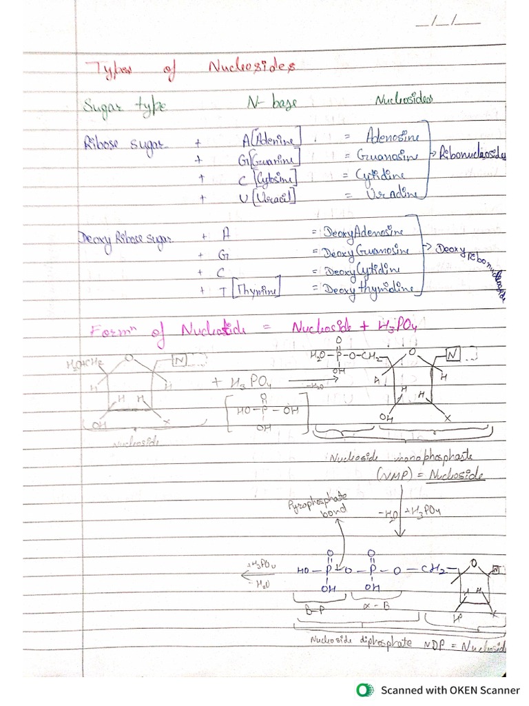 Types of Nucleotides and Nucleosides by MS Sir PDF
