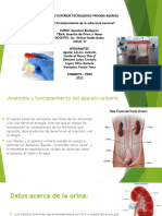 Muestras Biologicas