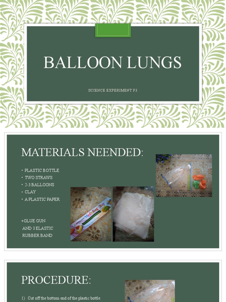 Balloon Lung Model Experiment | PDF | Foreign Language Studies | Home ...