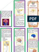 Triptico SistEMA NERVIOSOC