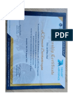 Ziegler Aerospace Certificate