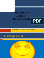 CAP.7. - Organizacion