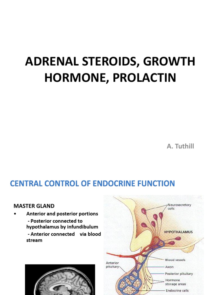 Adrenal Steroids, GH, Prolactin PDF Adrenal Gland Luteinizing Hormone
