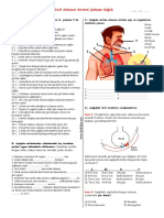 6.2.4 Solunum Sistemi Çalışma Kağıdı