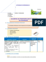 D3 A2 SESIÓN Las Plantas Son Importantes para La Vida en Los Ecosistemas