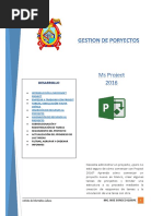 Manual Básico de Microsoft Project 2019 | PDF | Informática