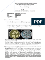 Zahwa Shafina - UAS Mikrobiologi OFF A