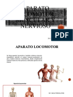 Aparato Locomotor Muscular y Nervioso