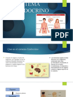 Sistema Endocrino