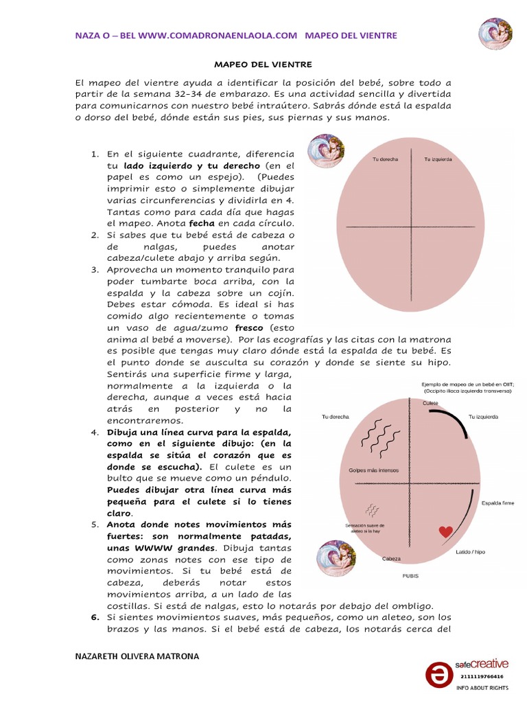 Mapeo Del Vientre 2 PDF