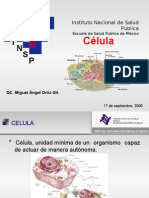 Celula