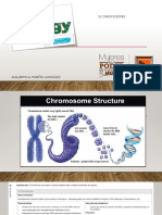 2 BIOLOGY CLASS Genetics Introduction 3.2 CHROMOSOMES