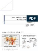 580tugas Anatomi Modul Spesial Sensory System (SSS) - Kelompok 5