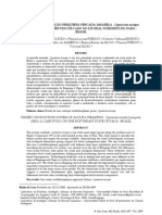 Sistema pesqueiro da pescada amarela no Pará