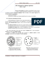 Cours 7 - BV - Anatomie de La Tige