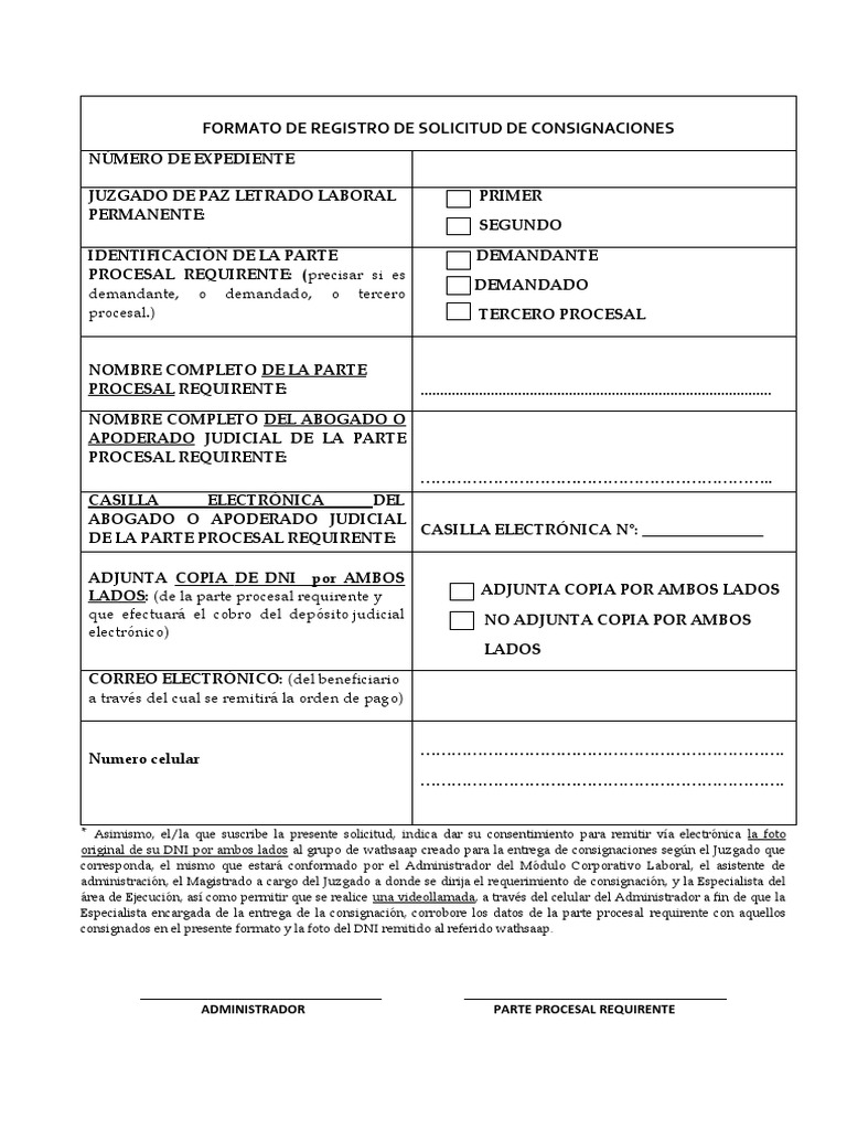 Formato de Registro de Solicitud de Consignaciones PDF Gobierno