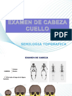 CABEZA CRANEO y Facies para PDF