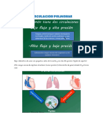 Circulacion Pulmonar