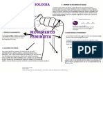 Trabalho MOVIMENTO Feminista1