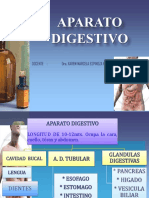 Aparato Digestivo