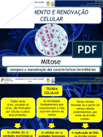 06A- Mitose_21-22