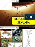 03 - Reprd - Sexuada - 21-22