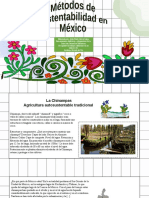 Sustentabilidad en Mexico